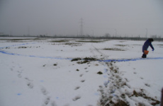 Centralfield Snow